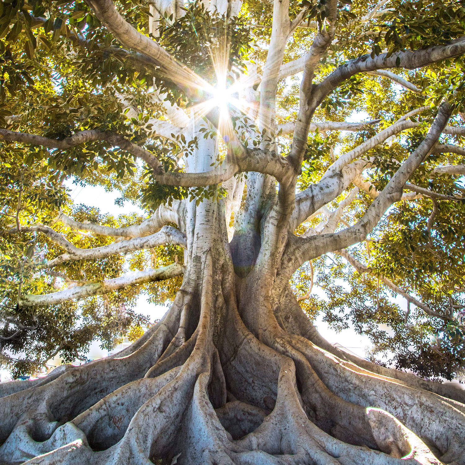 Rencontre / Treffen 25.04.2020